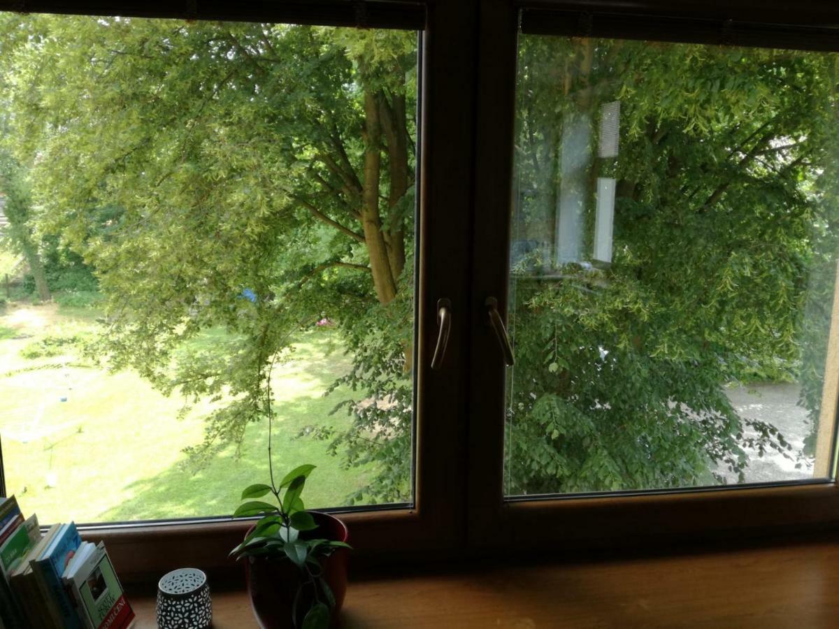 Apartman U Horynu - Sadova Ceska Trebova Extérieur photo